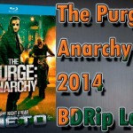 The Purge: Anarchy [2014] [BDRip Latino]