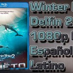 Winter El Delfin 2 [1080p HD Español Latino]