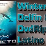 Winter El Delfin 2 [DvdRip Latino]